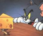 Tom Jerry kedi bir parça peynir almak için fare şaşırttı